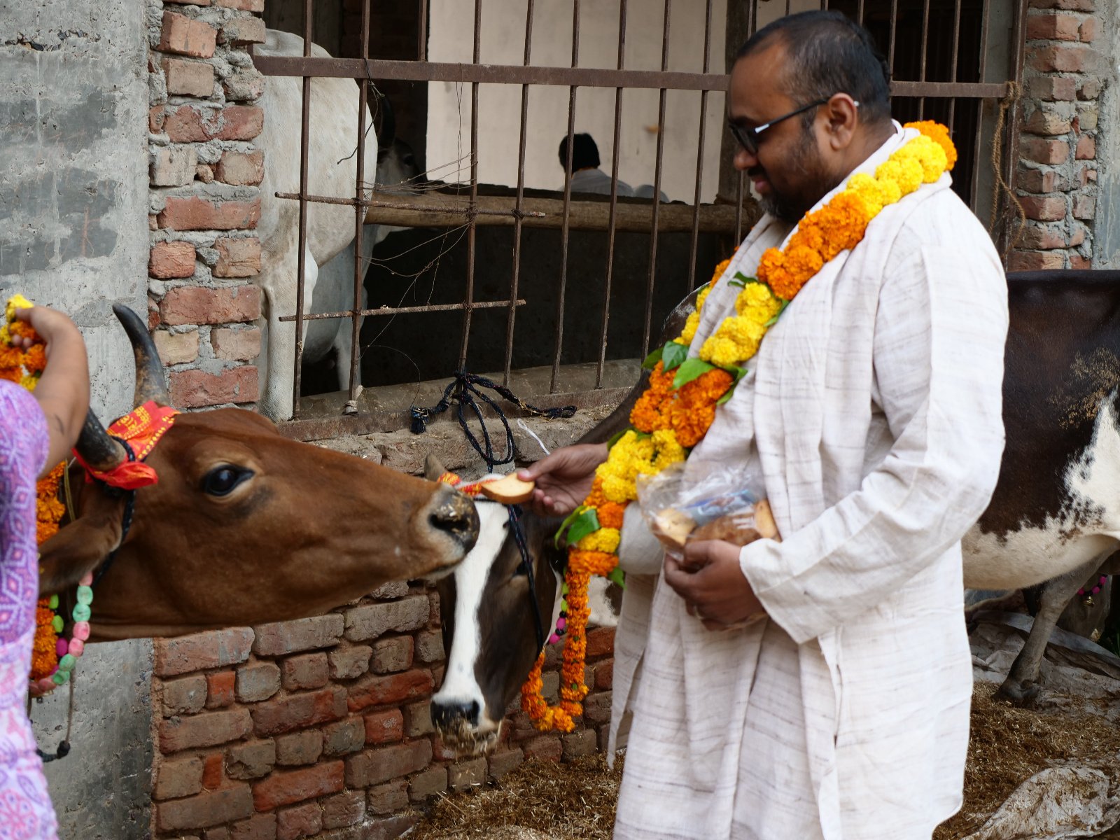  51 Gopashtami Radha kunda Govardhan 19.11.04